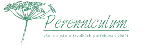 Perenniculum logo