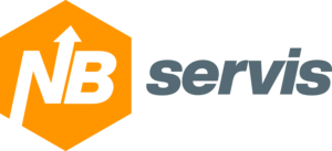 Website speed 29 nb servis